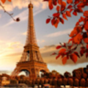 Meet your Posher, Darline